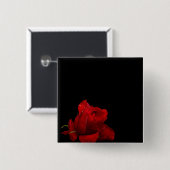 Rose sind rot button (Vorne & Hinten)