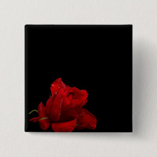 Rose sind rot button