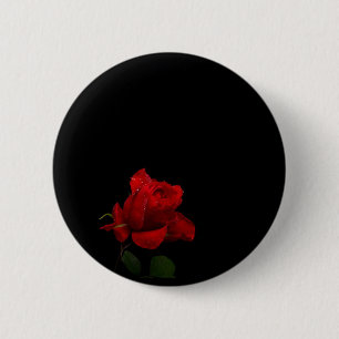 Rose sind rot button