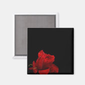 Rose sind rot magnet (Vorderseite/Rückseite)