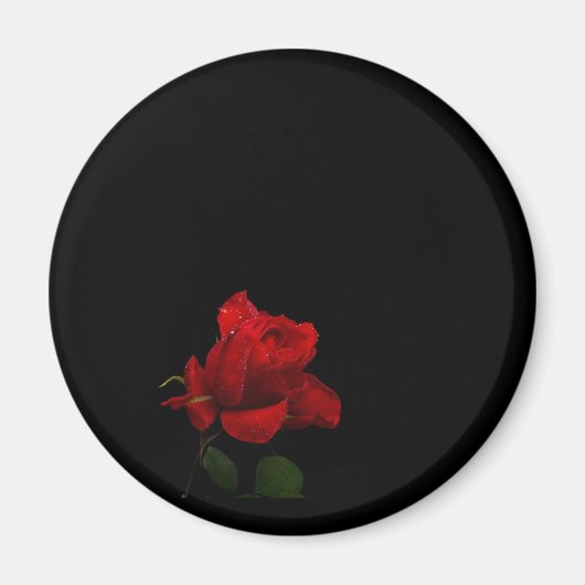 Rose sind rot magnet (Vorne)