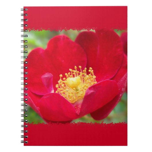 Rose sind rot Notebook Notizblock (Vorderseite)