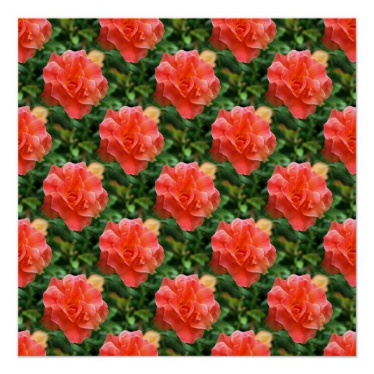Rose sind rot... poster (Vorderseite)
