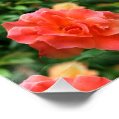 Rose sind rot... poster (Ecke)