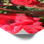 Rose sind rot... poster (Ecke)
