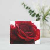 Rose sind rot postkarte (Stehend Vorderseite)