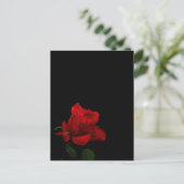 Rose sind rot postkarte (Stehend Vorderseite)