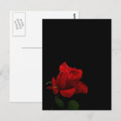 Rose sind rot postkarte (Vorne/Hinten)