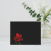 Rose sind rot postkarte (Stehend Vorderseite)