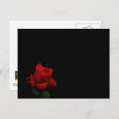 Rose sind rot postkarte (Vorne/Hinten)