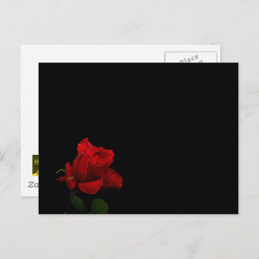 Rose sind rot postkarte (Vorne/Hinten)
