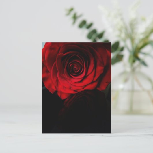 Rose sind rot.... postkarte (Stehend Vorderseite)