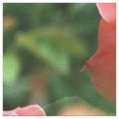 Rose sind rot... stoff (Nahaufnahme)