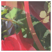 Rose sind rot.... stoff (Nahaufnahme)