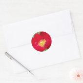 Rose sind rote Aufkleber (Umschlag)