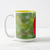 Rose sind rote Tasse (Links)