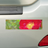 Rose sind roter Autoaufkleber (Auf Auto)