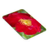 Rose sind rotes, flexibles Magnet (Rechte Seite)