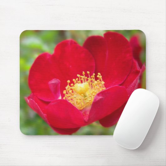 Rose sind rotes Mousepad (Mit Mouse)