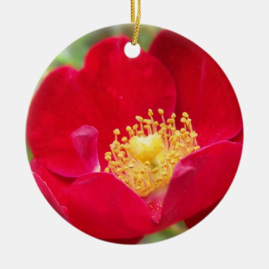 Rose sind Rotschmuck Keramik Ornament (Vorne)
