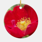 Rose sind Rotschmuck Keramik Ornament (Hinten)