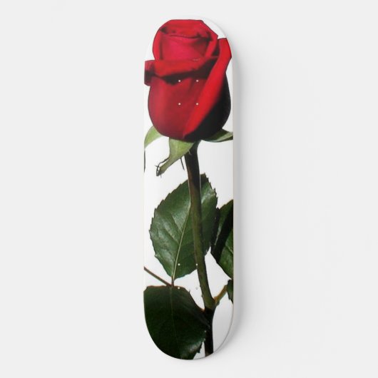 ROSE SKATEBOARD (Vorderseite)