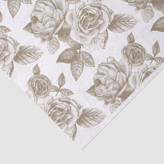 Rose Sketch Tissue Paper in Sepia Seidenpapier (Ausschnitt)
