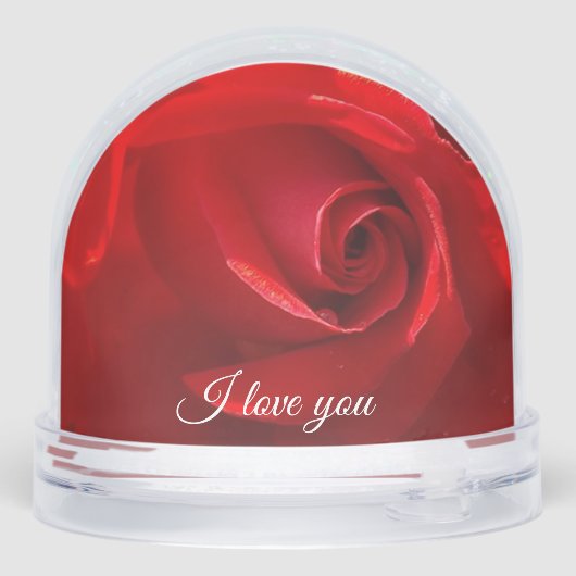 Rose Snow Globe Schneekugeln (Rückseite)