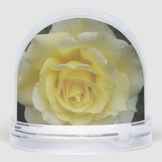 Rose Snow Globe Schneekugeln (Rückseite)