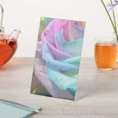 Rose Sockelschild (In SItu)