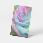 Rose Sockelschild (Vorderseite)