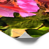 Rose Spektakulär...... Poster (Ecke)