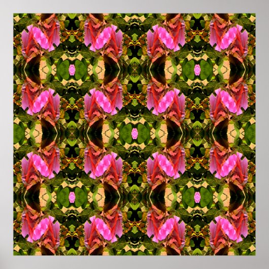 Rose Spektakulär...... Poster (Vorne)