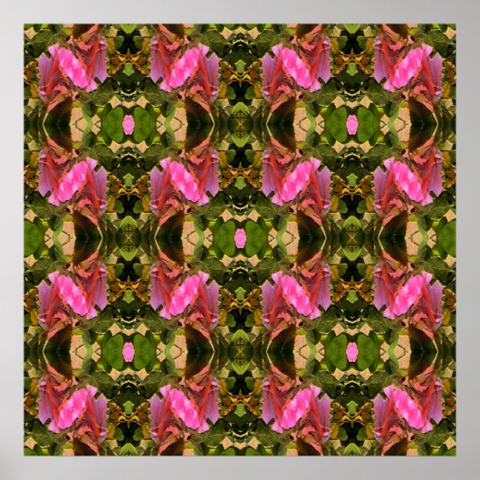 Rose Spektakulär.... Poster (Vorne)