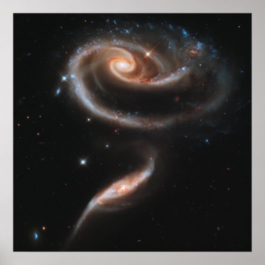 Rose Spiralgalaxien Poster (Vorne)