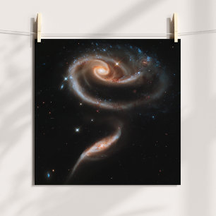 Rose Spiralgalaxien Poster