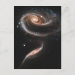Rose Spiralgalaxien Postkarte