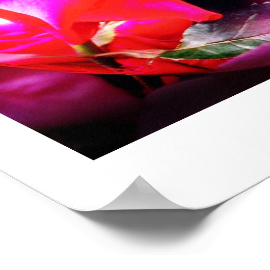 Rose Spirits Poster (Ecke)