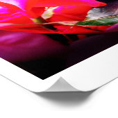 Rose Spirituosen Poster (Ecke)