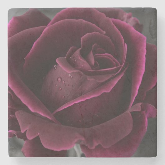 Rose Steinuntersetzer (Vorderseite)