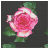 Rose Stoff (Nahaufnahme)