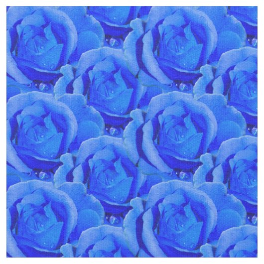 Rose Stoff Blue Rose Stoff Baumwolle oder Poly (Nahaufnahme)