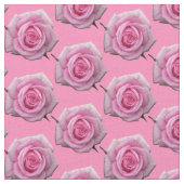 Rose Stoffe rosa Rosengewebe Baumwolle oder Polste (Nahaufnahme)