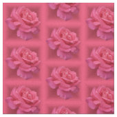 Rose Stoffe rosa Rosengewebe Baumwolle oder Polste (Nahaufnahme)