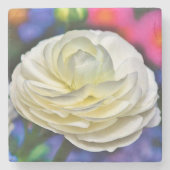 Rose Stone Untersetzer (Vorderseite)