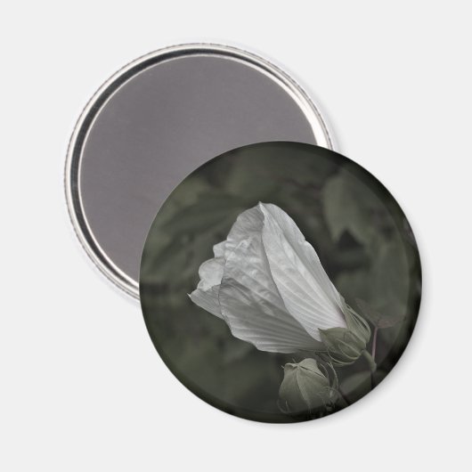 Rose Sümpfe Kühlschrank Magnet (Vorderseite/Rückseite)