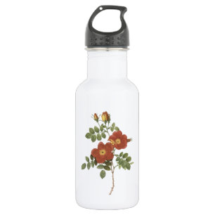 Rose Süße (Rosa eglanteria) von Redouté Edelstahlflasche