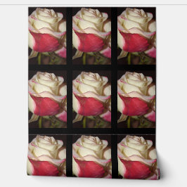 Rose Tapete