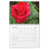 Rose Therapy 20XX Foto Kalender (Feb 2027)