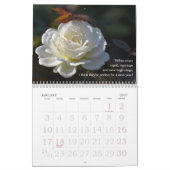 Rose Therapy 20XX Foto Kalender (Jan 2027)